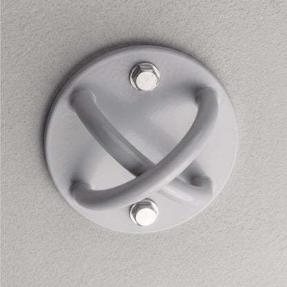 Roof Mount bolted to a ceiling, seen from below.