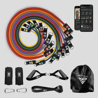 HomeProGym Mega Set: 9 tube resistance bands with handles, stacking to 450 lb.