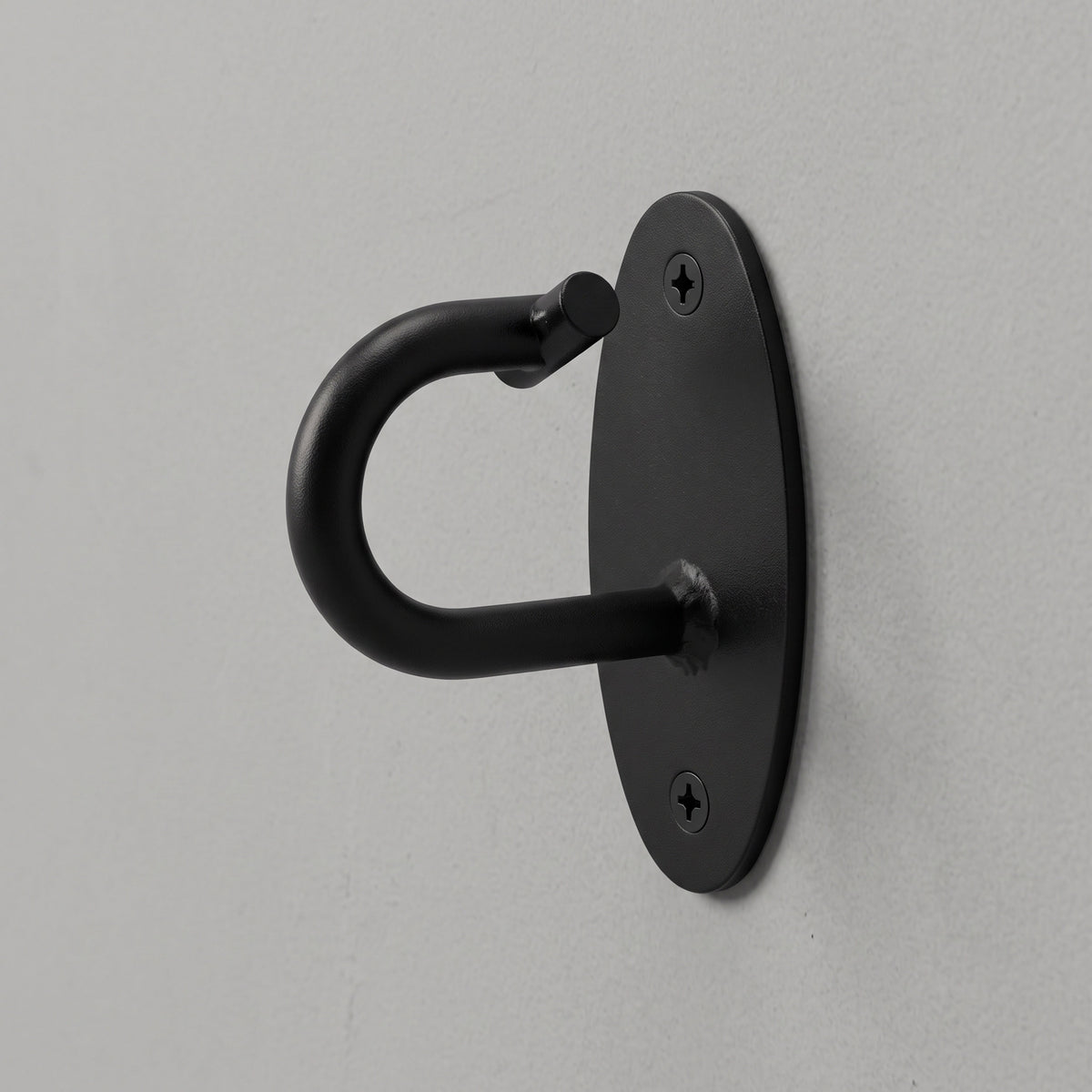 Wall Mount screwed to a plain wall, hook facing up.